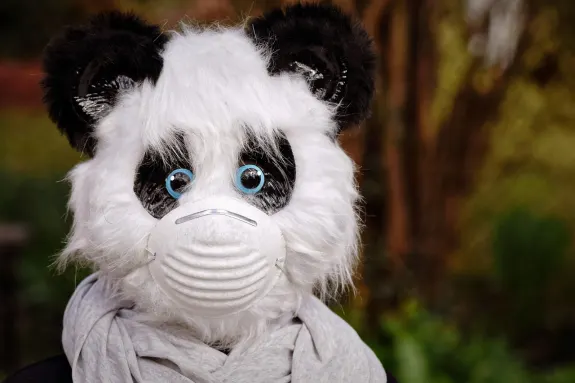 9 كازينو الدعم